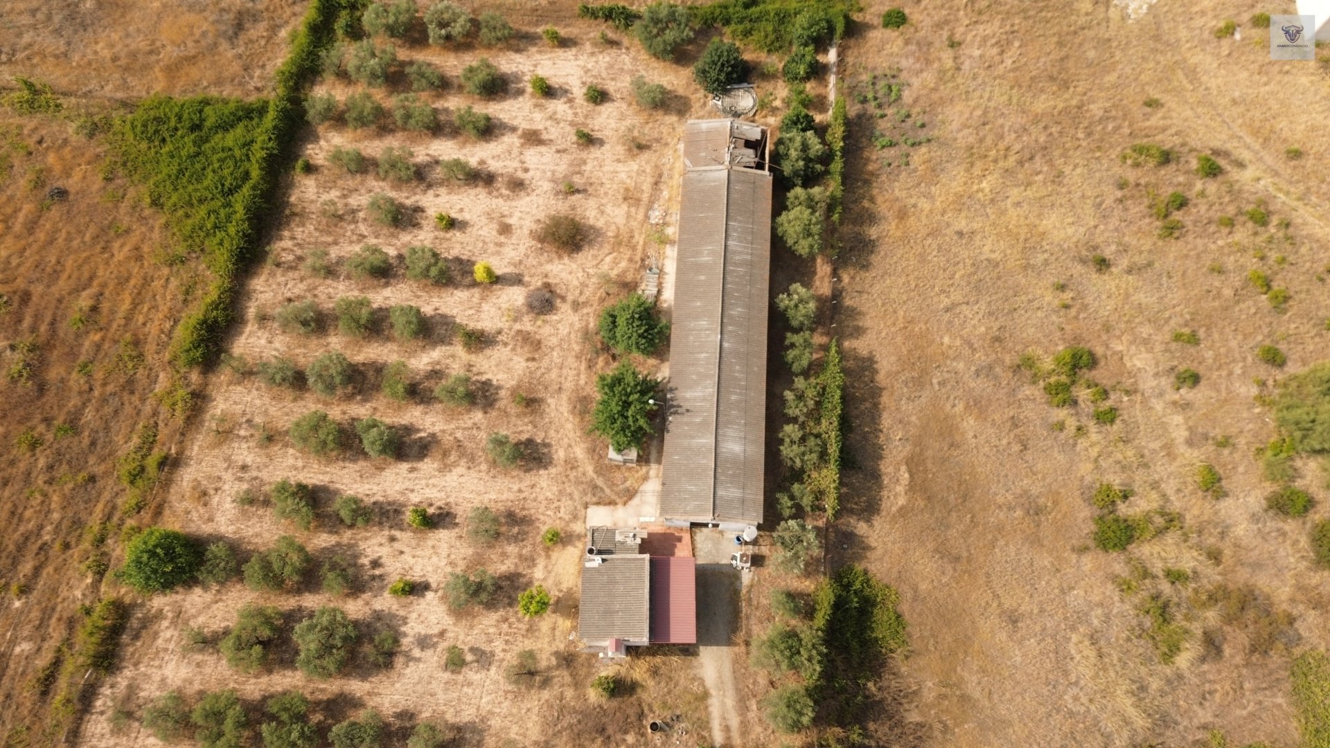 Finca mit Haus in Bollullos par del Condado, Huelva / Costa kaufen - Ihr eigenes Stück Andalusien: 5.298 m²