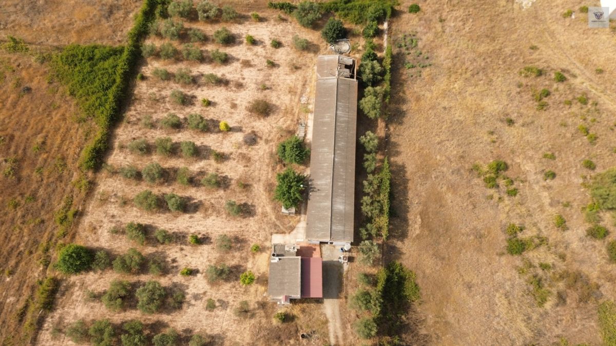 Finca mit Haus in Bollullos par del Condado, Huelva / Costa kaufen - Ihr eigenes Stück Andalusien: 5.298 m²
