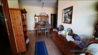 Finca mit Haus in Almonte , Huelva / Condado kaufen - Ihr Zuhause im Grünen – Landgut mit ca. 8 Hektar - Bild 30