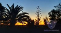 Finca mit Haus in Almonte , Huelva / Condado kaufen - Ihr Zuhause im Grünen – Landgut mit ca. 8 Hektar - Bild 22