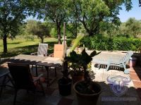 Finca mit Haus in Almonte , Huelva / Condado kaufen - Ihr Zuhause im Grünen – Landgut mit ca. 8 Hektar - Bild 27