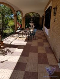 Finca mit Haus in Almonte , Huelva / Condado kaufen - Ihr Zuhause im Grünen – Landgut mit ca. 8 Hektar - Bild 19