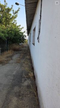 Finca mit Haus in Bollullos par del Condado, Huelva / Costa kaufen - Ihr eigenes Stück Andalusien: 5.298 m² - Bild 6