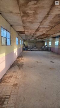 Finca mit Haus in Bollullos par del Condado, Huelva / Costa kaufen - Ihr eigenes Stück Andalusien: 5.298 m² - Bild 3
