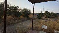 Finca mit Haus in Bollullos par del Condado, Huelva / Costa kaufen - Ihr eigenes Stück Andalusien: 5.298 m² - Bild 15
