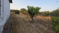 Finca mit Haus in Bollullos par del Condado, Huelva / Costa kaufen - Ihr eigenes Stück Andalusien: 5.298 m² - Bild 21