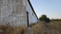 Finca mit Haus in Bollullos par del Condado, Huelva / Costa kaufen - Ihr eigenes Stück Andalusien: 5.298 m² - Bild 24