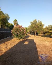 Finca mit Haus in Almonte , Huelva / Condado kaufen - Ihr Zuhause im Grünen – Landgut mit ca. 8 Hektar - Bild 20