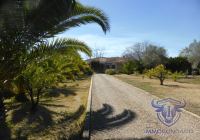 Finca mit Haus in Almonte , Huelva / Condado kaufen - Ihr Zuhause im Grünen – Landgut mit ca. 8 Hektar - Bild 29