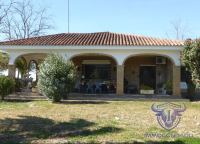 Finca mit Haus in Almonte , Huelva / Condado kaufen - Ihr Zuhause im Grünen – Landgut mit ca. 8 Hektar - Bild 31