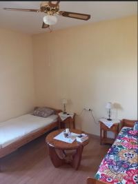 Finca mit Haus in Almonte , Huelva / Condado kaufen - Ihr Zuhause im Grünen – Landgut mit ca. 8 Hektar - Bild 4
