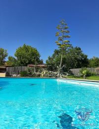 Finca mit Haus in Almonte , Huelva / Condado kaufen - Ihr Zuhause im Grünen – Landgut mit ca. 8 Hektar - Bild 9
