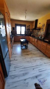 Finca mit Haus in Almonte , Huelva / Condado kaufen - Ihr Zuhause im Grünen – Landgut mit ca. 8 Hektar - Bild 10