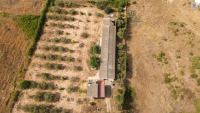 Finca mit Haus in Bollullos par del Condado, Huelva / Costa kaufen - Ihr eigenes Stück Andalusien: 5.298 m² - Bild 1