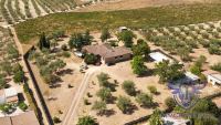 Finca mit Haus in Almonte , Huelva / Condado kaufen - Ihr Zuhause im Grünen – Landgut mit ca. 8 Hektar - Bild 1