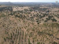 Grundstück in Huelva / Sierra kaufen - Exklusives Landgut - Bild 4
