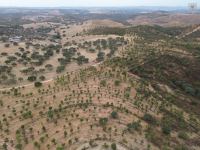 Grundstück in Huelva / Sierra kaufen - Exklusives Landgut - Bild 5