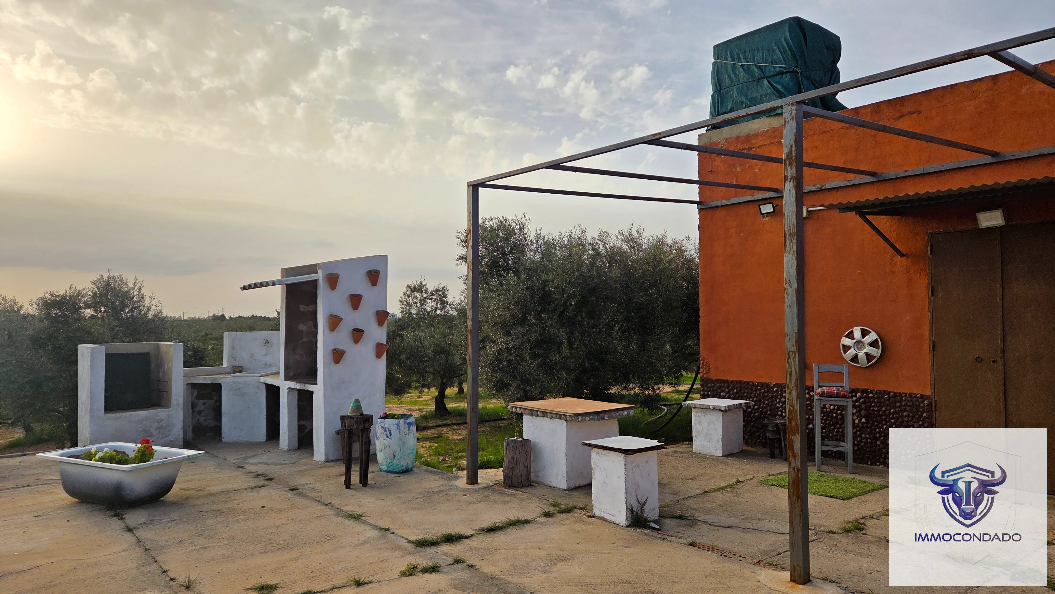 Olivenhain in La Palma del Condado, Huelva / Condado kaufen - Finca Andalusien: 500 Olivenbäume, Haus & Pool - Bild 5