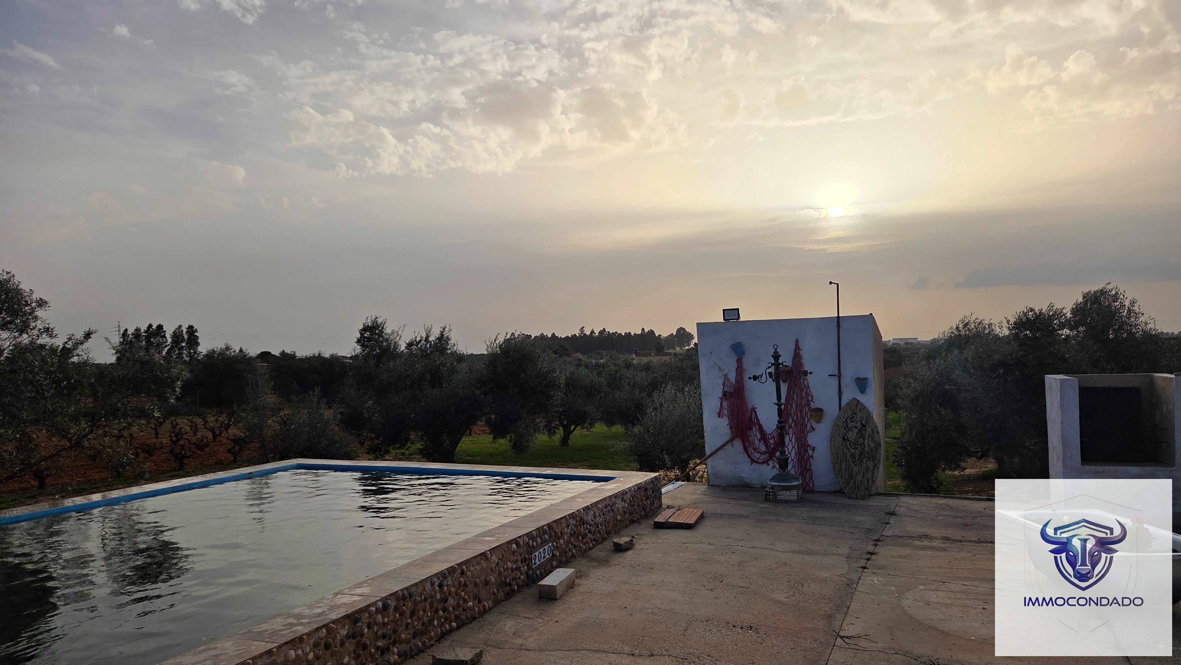 Olivenhain in La Palma del Condado, Huelva / Condado kaufen - Finca Andalusien: 500 Olivenbäume, Haus & Pool - Bild 3