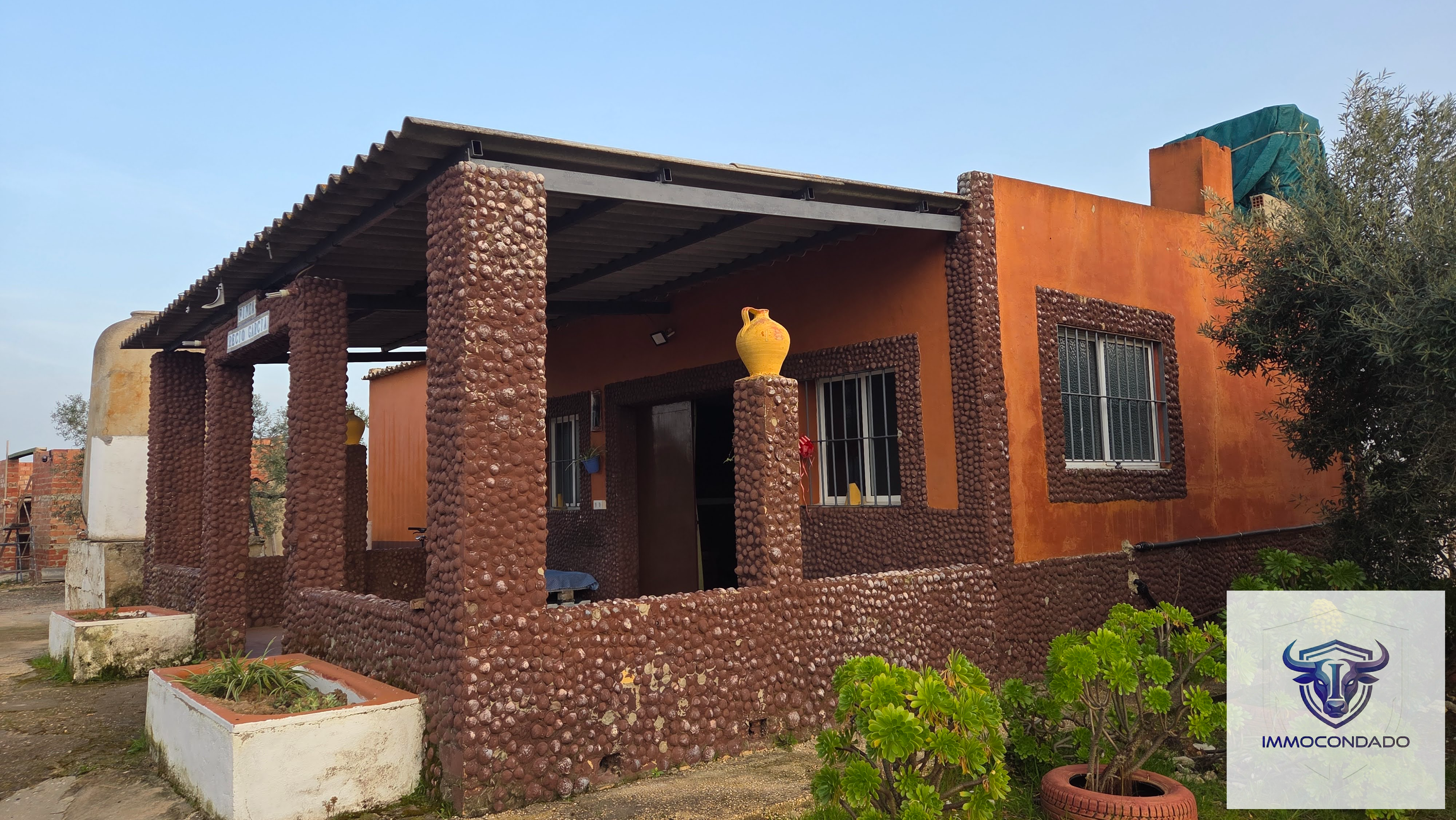 Olivenhain in La Palma del Condado, Huelva / Condado kaufen - Finca Andalusien: 500 Olivenbäume, Haus & Pool - Bild 2