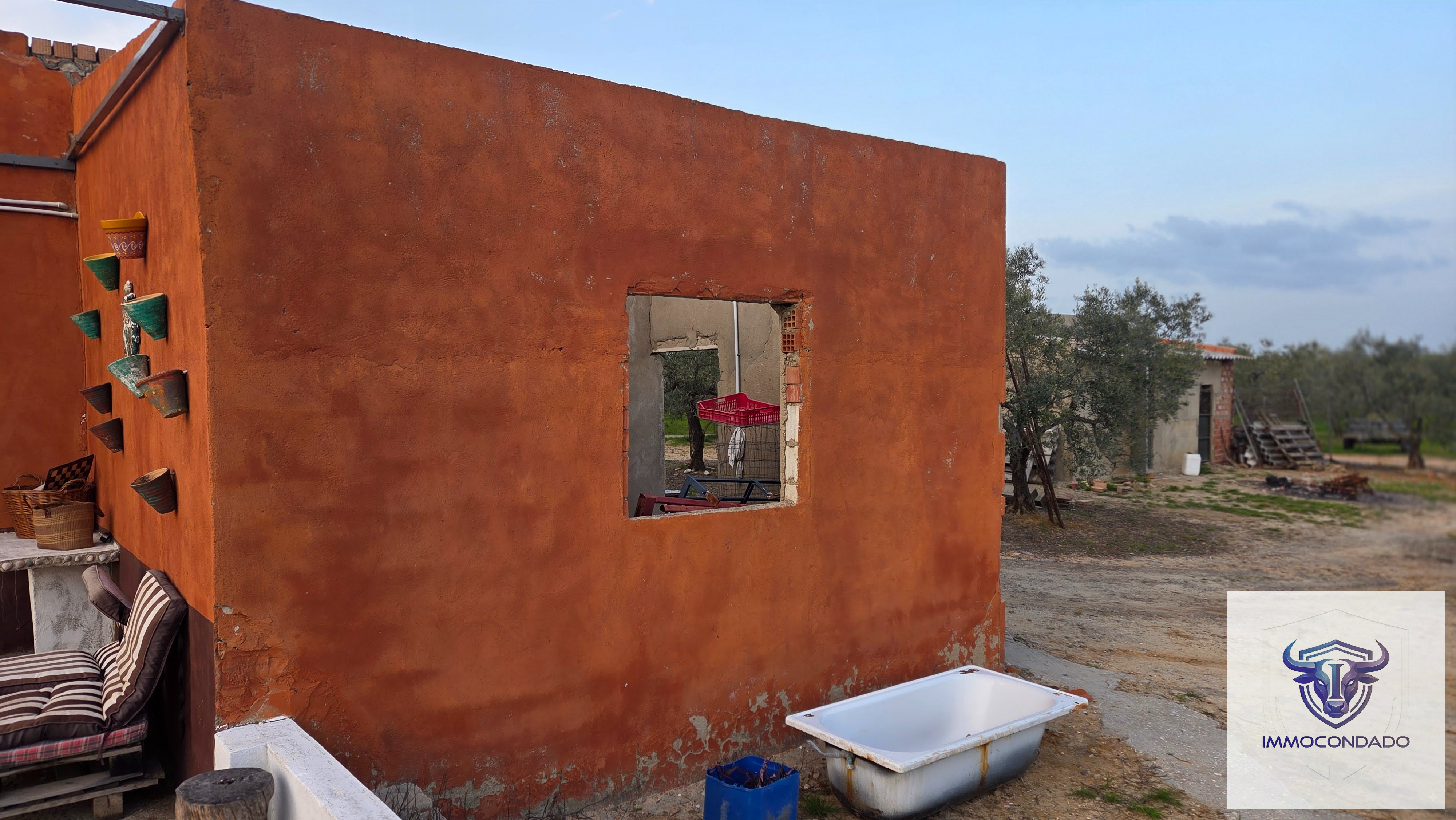 Olivenhain in La Palma del Condado, Huelva / Condado kaufen - Finca Andalusien: 500 Olivenbäume, Haus & Pool - Bild 12
