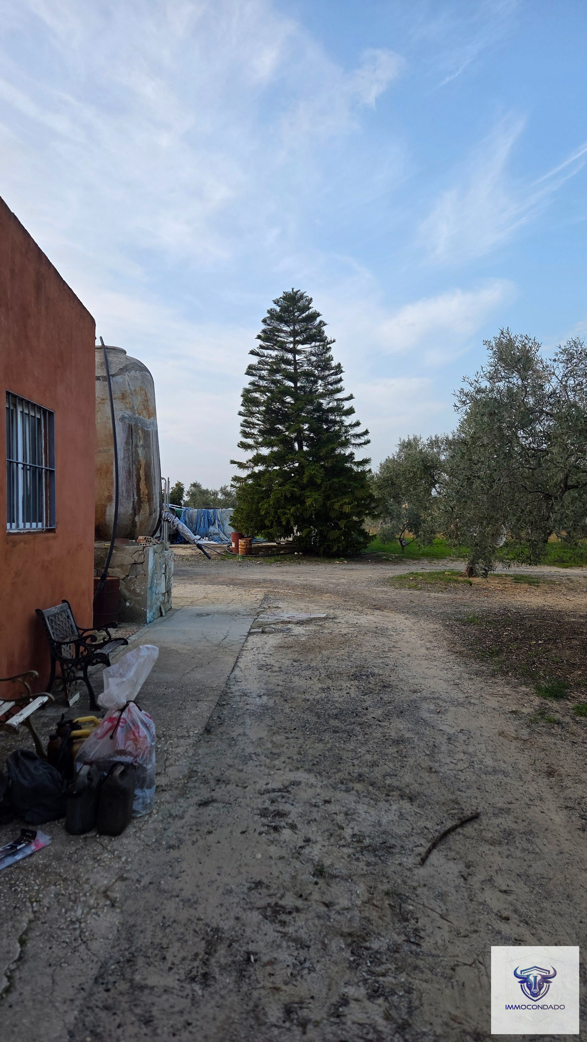 Olivenhain in La Palma del Condado, Huelva / Condado kaufen - Finca Andalusien: 500 Olivenbäume, Haus & Pool - Bild 11