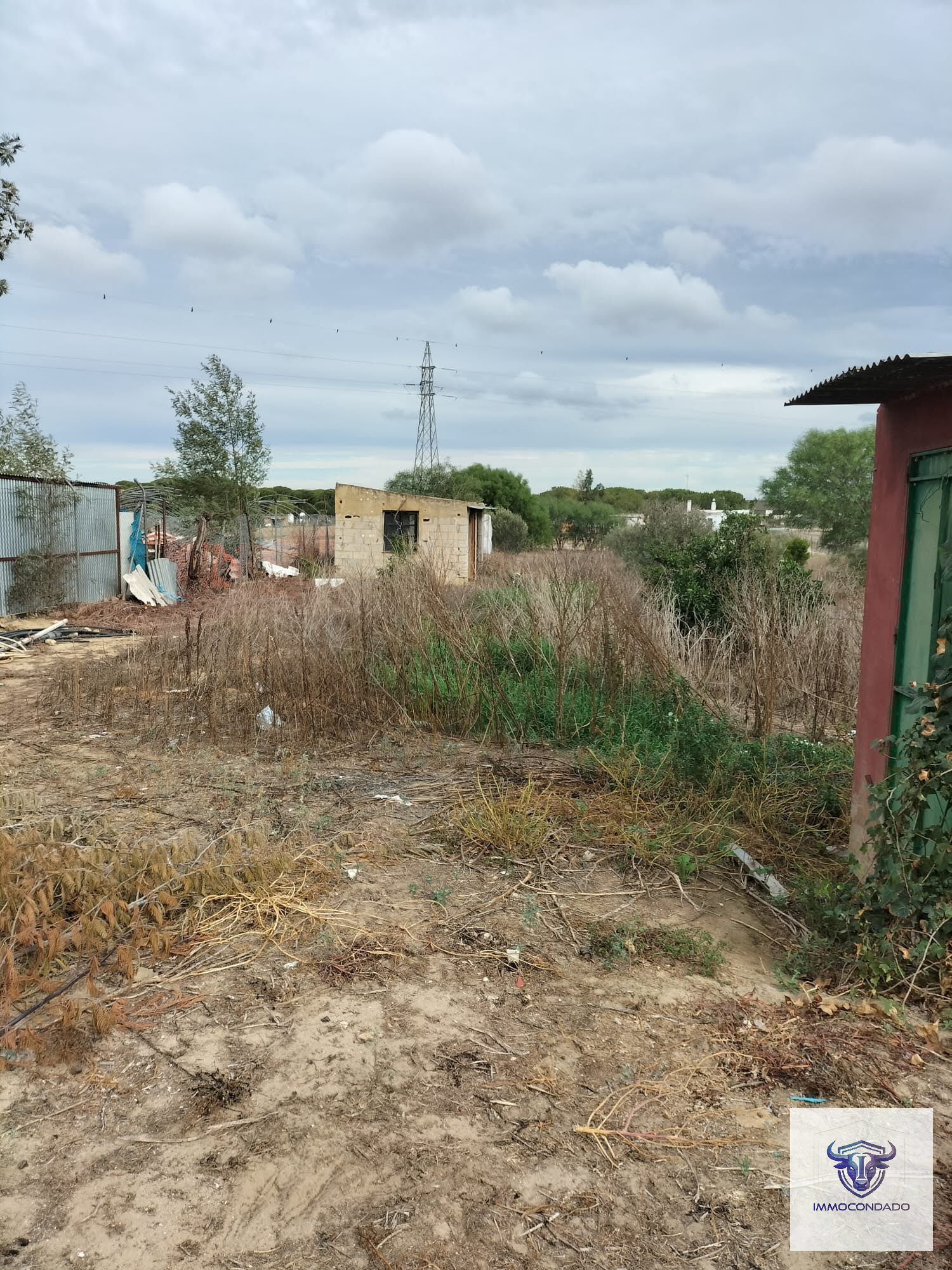 Olivenhain in La Palma del Condado, Huelva / Condado kaufen - Finca Andalusien: 500 Olivenbäume, Haus & Pool - Bild 8
