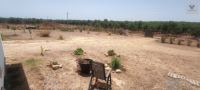 Finca mit Haus in Beas, Huelva / Condado kaufen - Energieautarke Finca in Lobera: 192 m² Wohnfläche, eigener Solarstrom und Wasserversorgung - Bild 23