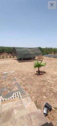 Finca mit Haus in Beas, Huelva / Condado kaufen - Energieautarke Finca in Lobera: 192 m² Wohnfläche, eigener Solarstrom und Wasserversorgung - Bild 24