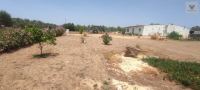 Finca mit Haus in Beas, Huelva / Condado kaufen - Energieautarke Finca in Lobera: 192 m² Wohnfläche, eigener Solarstrom und Wasserversorgung - Bild 27