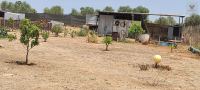 Finca mit Haus in Beas, Huelva / Condado kaufen - Energieautarke Finca in Lobera: 192 m² Wohnfläche, eigener Solarstrom und Wasserversorgung - Bild 26