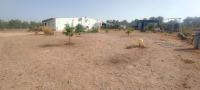 Finca mit Haus in Beas, Huelva / Condado kaufen - Energieautarke Finca in Lobera: 192 m² Wohnfläche, eigener Solarstrom und Wasserversorgung - Bild 28