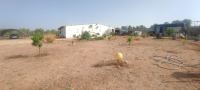 Finca mit Haus in Beas, Huelva / Condado kaufen - Energieautarke Finca in Lobera: 192 m² Wohnfläche, eigener Solarstrom und Wasserversorgung - Bild 30