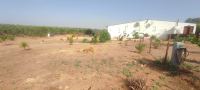 Finca mit Haus in Beas, Huelva / Condado kaufen - Energieautarke Finca in Lobera: 192 m² Wohnfläche, eigener Solarstrom und Wasserversorgung - Bild 31