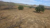 Grundstück in La Palma del Condado, Huelva / Condado kaufen - Attraktives Ertragsgrundstück in La Palma del Condado mit Potenzial für Mobilheime - Bild 8