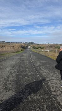 Grundstück in La Palma del Condado, Huelva / Condado kaufen - Attraktives Ertragsgrundstück in La Palma del Condado mit Potenzial für Mobilheime - Bild 2