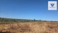 Finca mit Haus in Villalba del Alcor, Huelva / Condado kaufen - Haus: Charmante Finca mit weitläufigem Grundstück - Bild 3