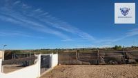 Finca mit Haus in Bollullos par del Condado, Huelva / Condado kaufen - Finca mit Lizenz zur Pferdehaltung - Bild 3