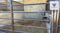 Finca mit Haus in Bollullos par del Condado, Huelva / Condado kaufen - Finca mit Lizenz zur Pferdehaltung - Bild 12