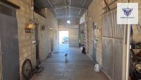 Finca mit Haus in Bollullos par del Condado, Huelva / Condado kaufen - Finca mit Lizenz zur Pferdehaltung - Bild 25