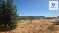 Finca mit Haus in Villalba del Alcor, Huelva / Condado kaufen - Haus: Charmante Finca mit weitläufigem Grundstück - Bild 5