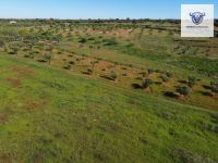 Finca mit Haus in Niebla, Huelva / Condado kaufen - Autarkes Finca-Paradies - Bild 23