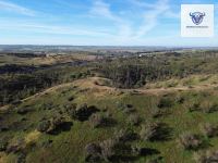 Finca mit Haus in Niebla, Huelva / Condado kaufen - Autarkes Finca-Paradies - Bild 7