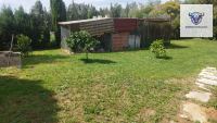 Finca mit Haus in Trigueros, Huelva / Condado kaufen - Finca mit Grundstück in Trigueros - Bild 6
