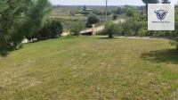 Finca mit Haus in Trigueros, Huelva / Condado kaufen - Finca mit Grundstück in Trigueros - Bild 3