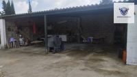 Finca mit Haus in Trigueros, Huelva / Condado kaufen - Finca mit Grundstück in Trigueros - Bild 13