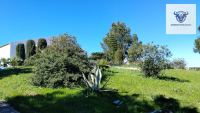 Finca mit Haus in Trigueros, Huelva / Condado kaufen - Finca mit Grundstück in Trigueros - Bild 12