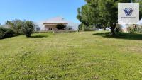 Finca mit Haus in Trigueros, Huelva / Condado kaufen - Finca mit Grundstück in Trigueros - Bild 8