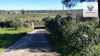 Finca mit Haus in Trigueros, Huelva / Condado kaufen - Finca mit Grundstück in Trigueros - Bild 11
