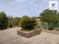 Finca mit Haus in Trigueros, Huelva / Condado kaufen - Finca mit Grundstück in Trigueros - Bild 17